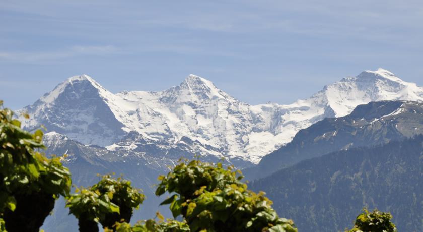 Hotel Schonegg Jungfrau ภายนอก รูปภาพ
